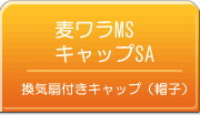 �����MS