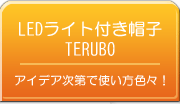 LED�L���b�v